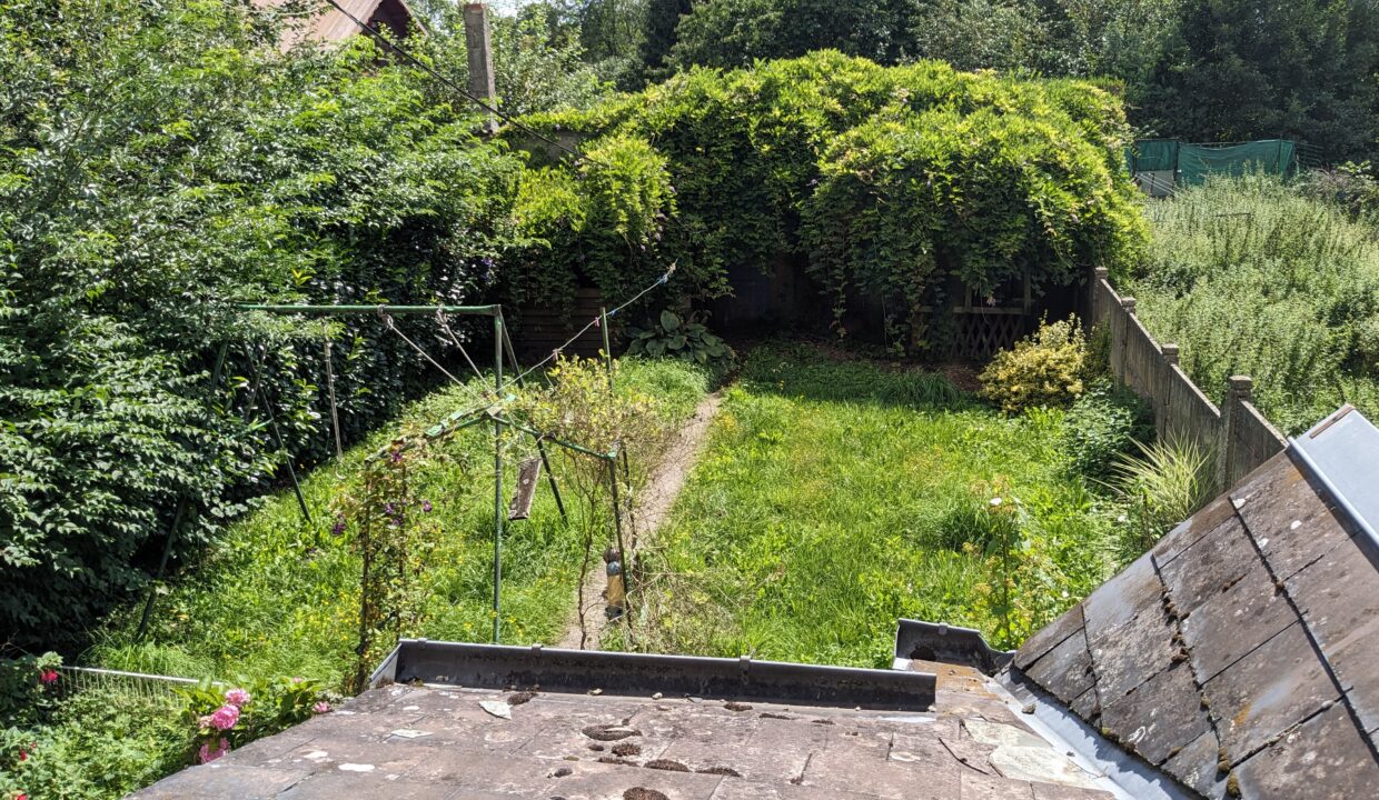 Terrain